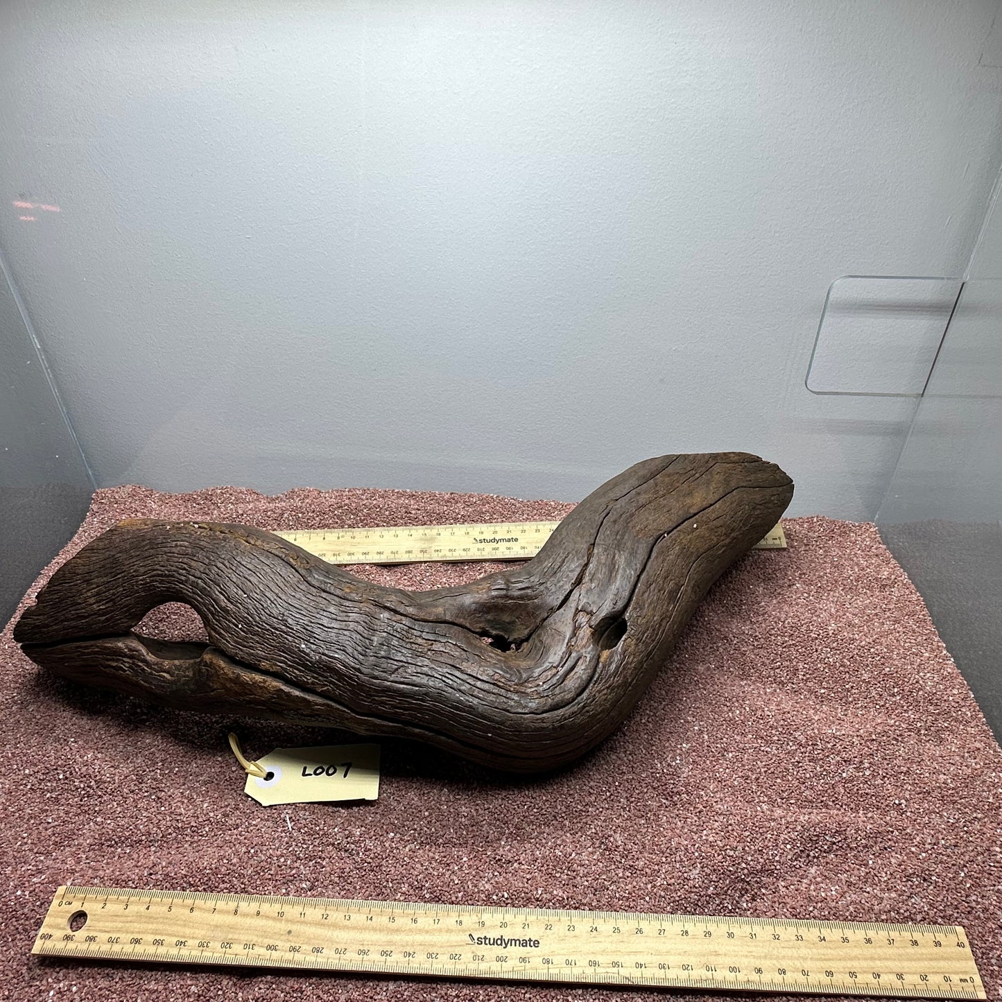 Driftwood (Large)