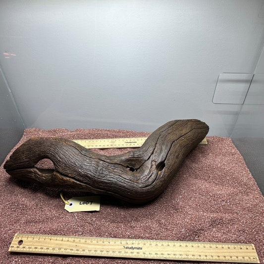 Driftwood (Large)