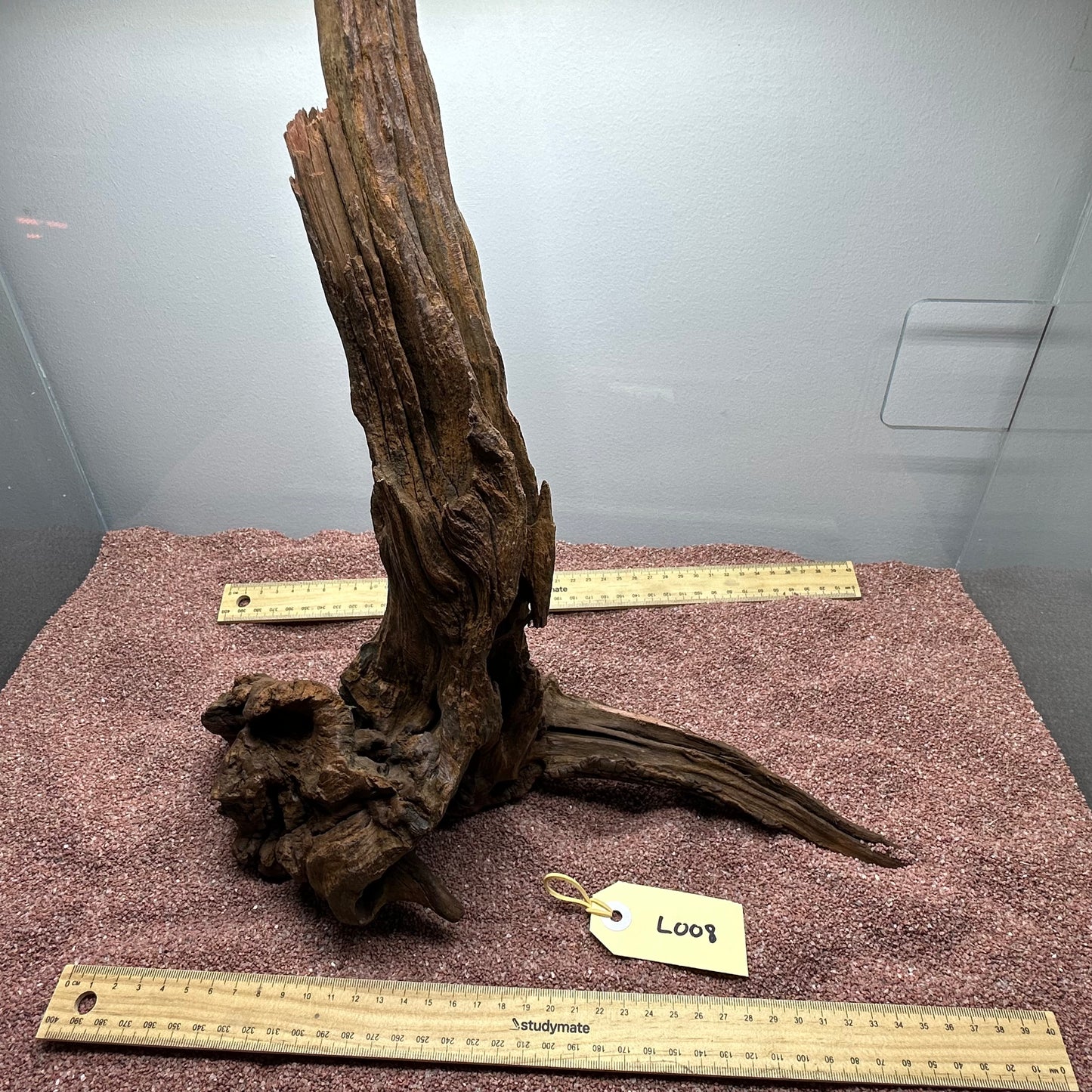 Driftwood (Large)
