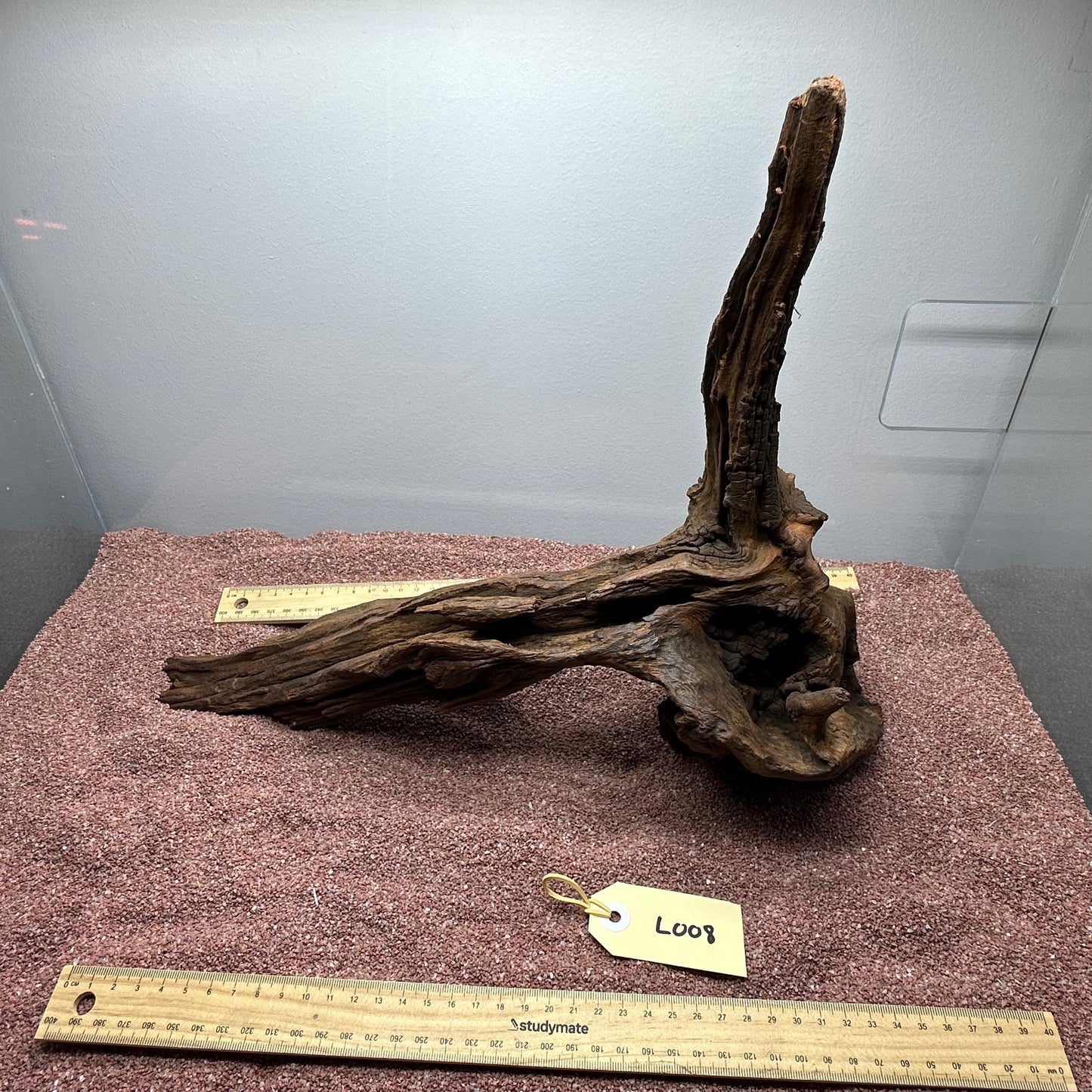 Driftwood (Large)