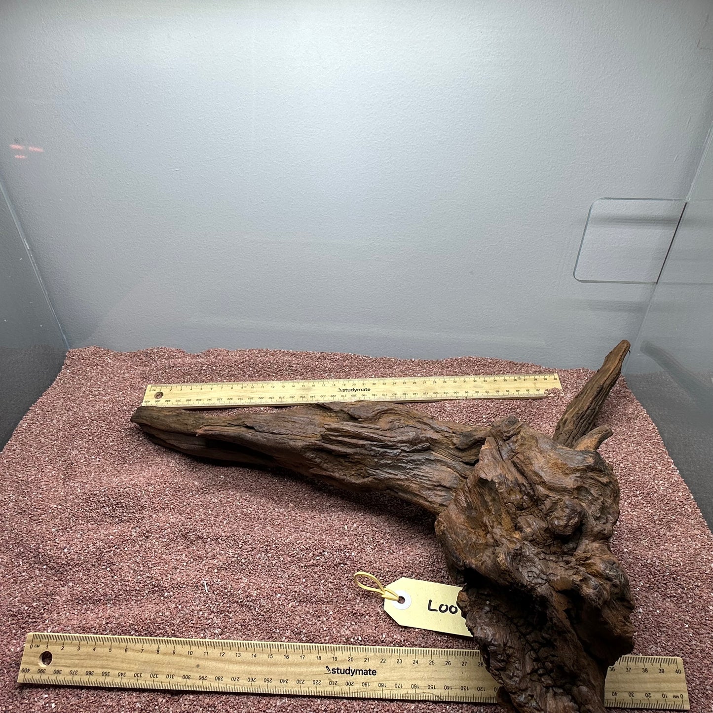 Driftwood (Large)