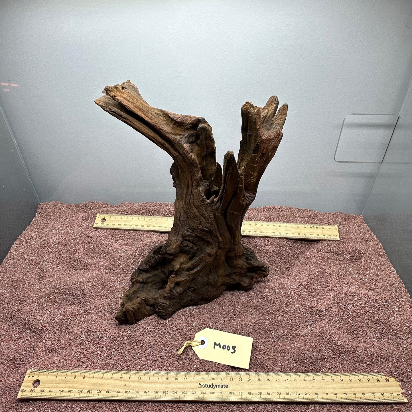 Driftwood (Medium)