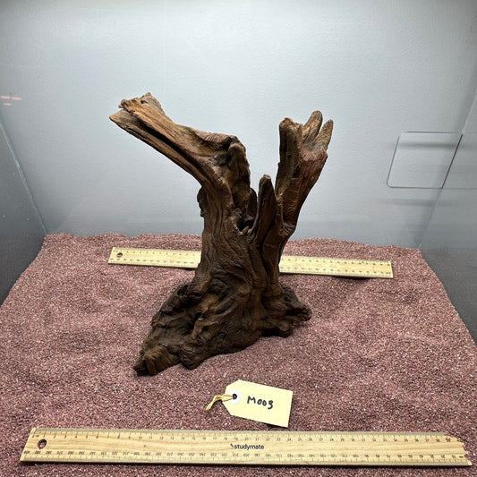 Driftwood (Medium)