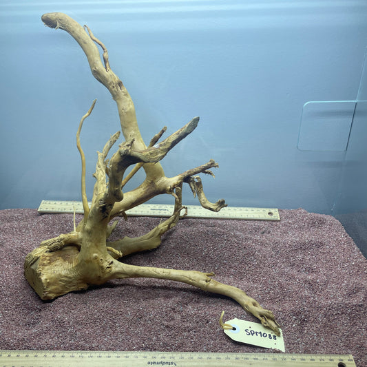 Spiderwood (Medium)