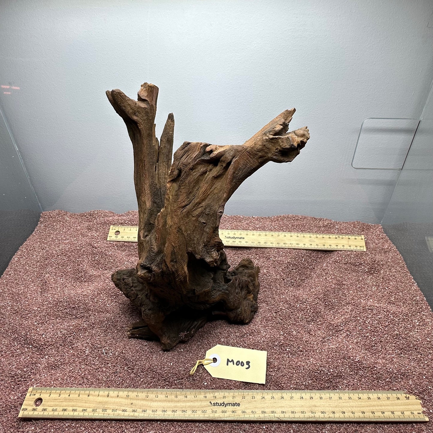 Driftwood (Medium)