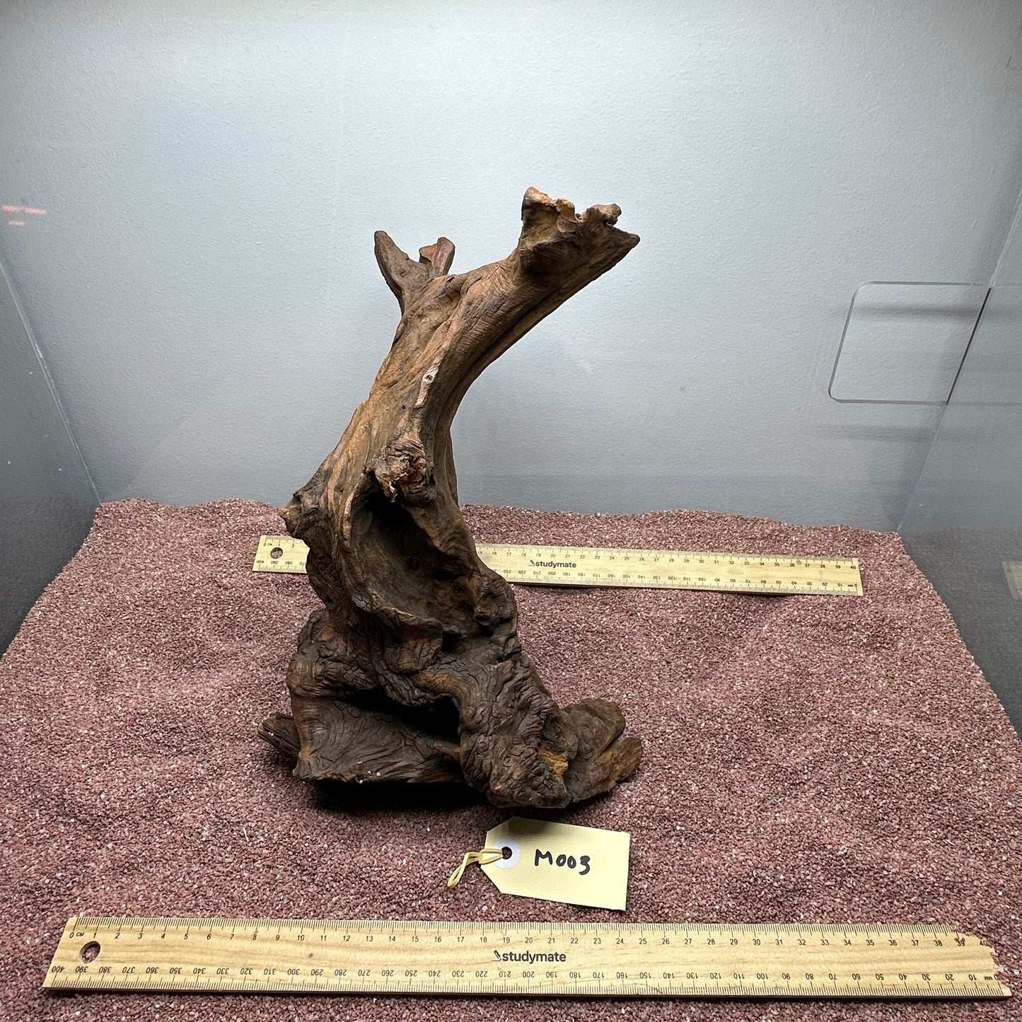 Driftwood (Medium)