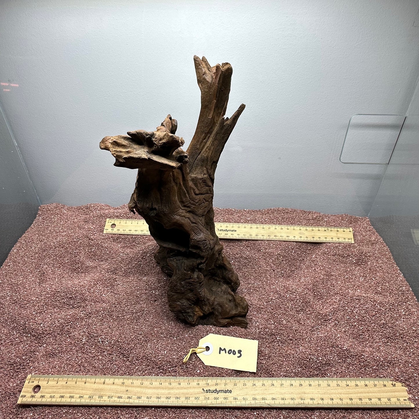 Driftwood (Medium)