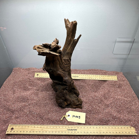 Driftwood (Medium)