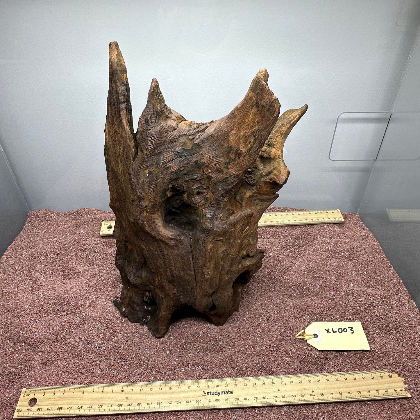 Driftwood (X Large)