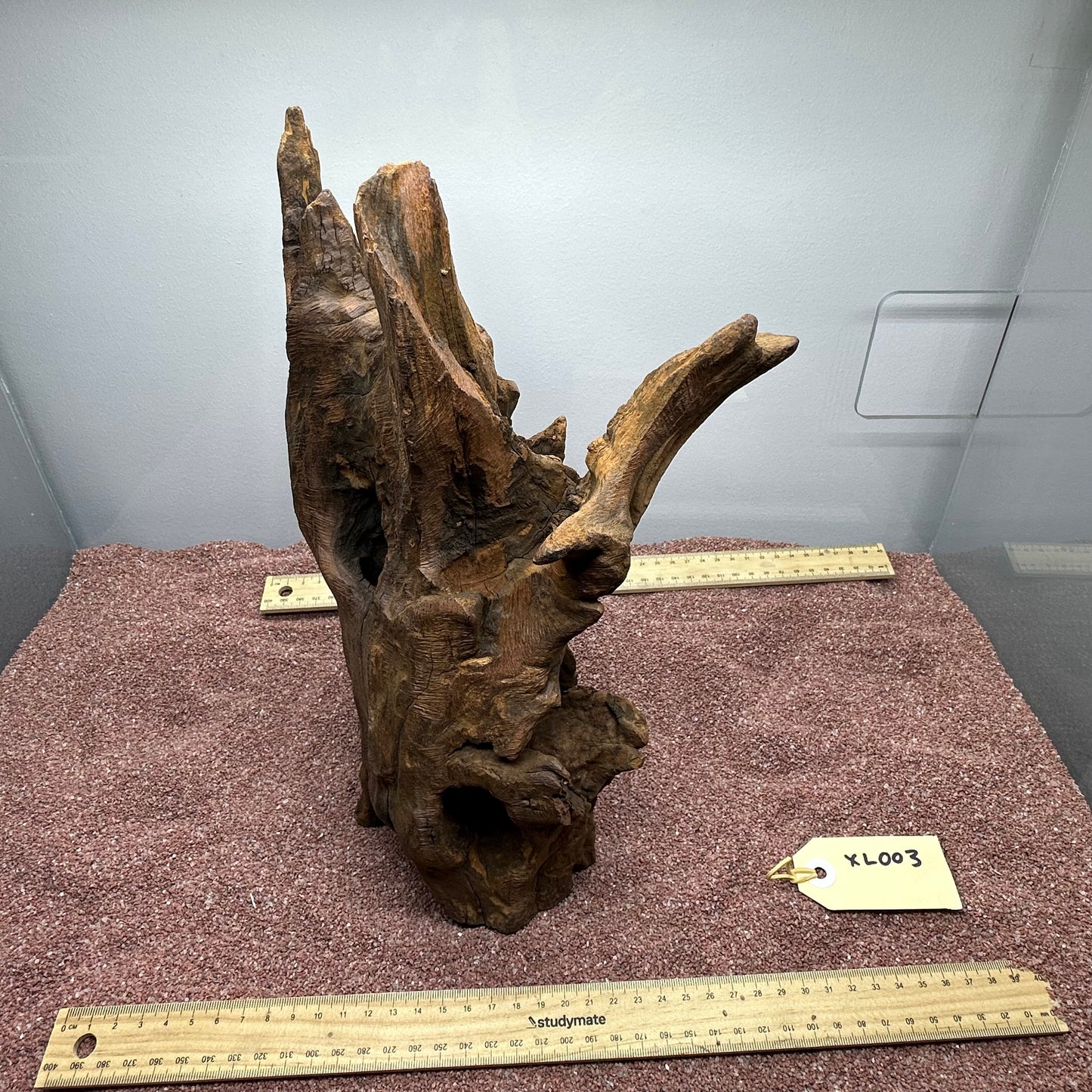 Driftwood (X Large)