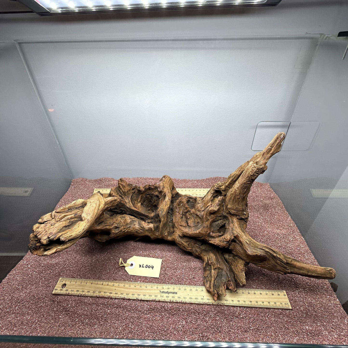 Driftwood (X Large)
