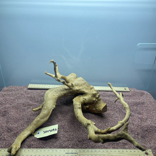 Spiderwood (Medium)