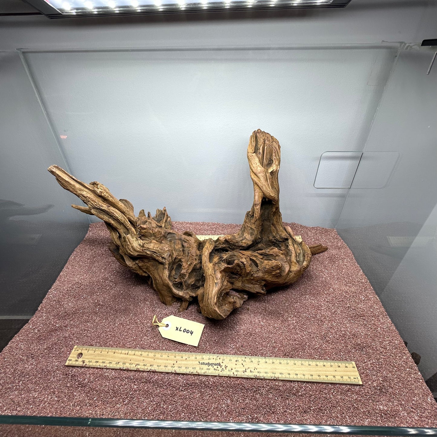 Driftwood (X Large)