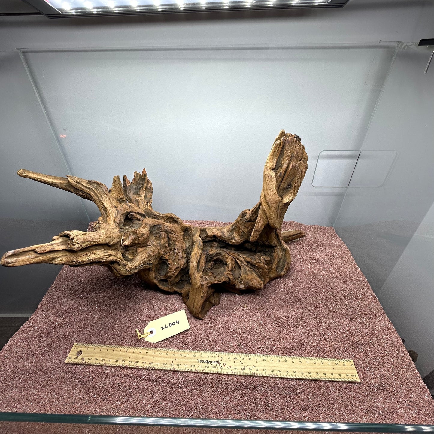 Driftwood (X Large)