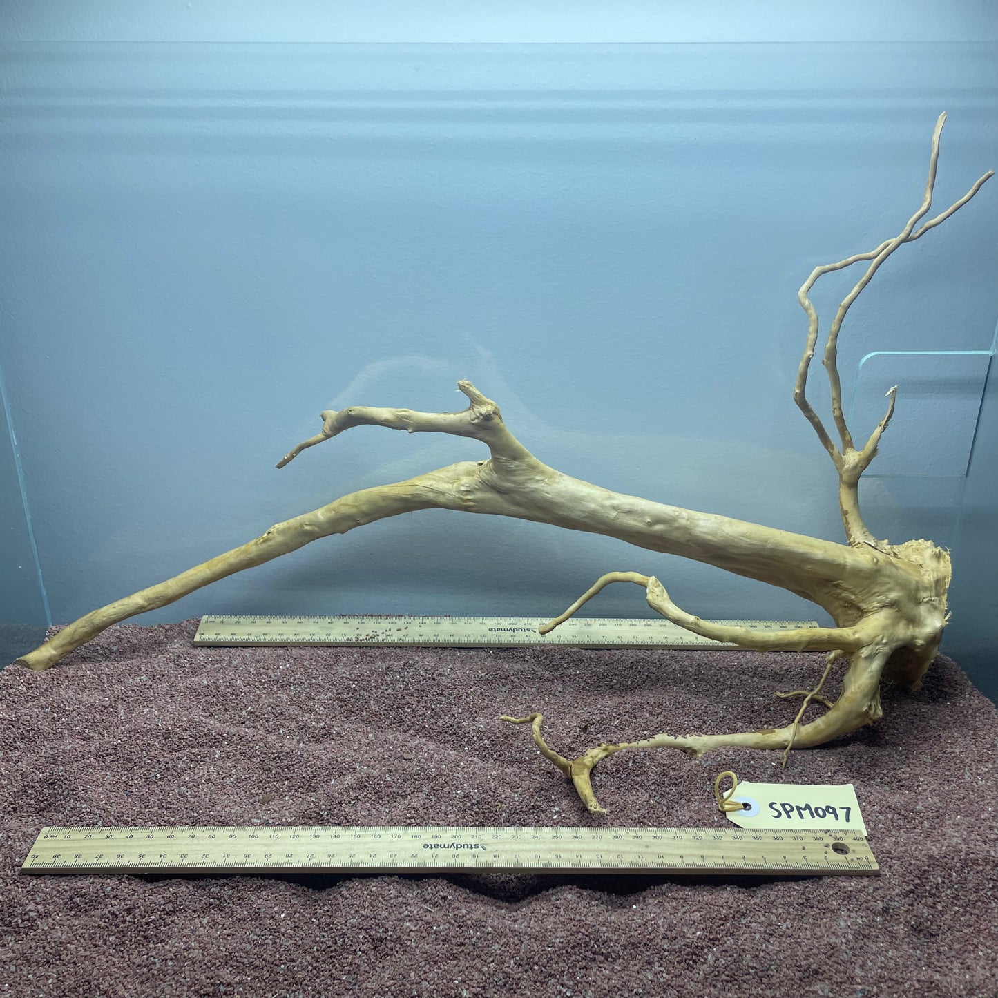 Spiderwood (Medium)