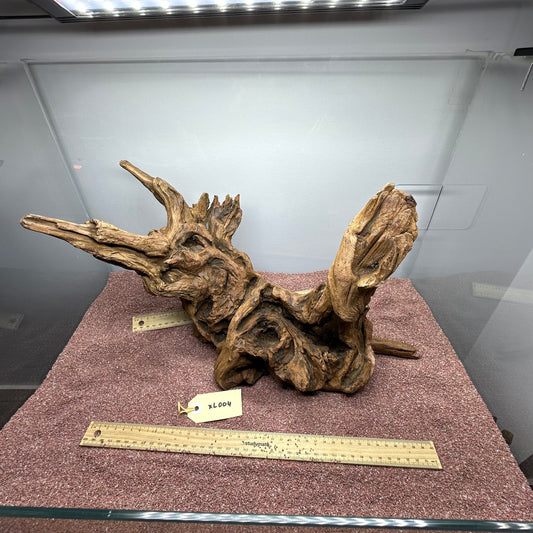 Driftwood (X Large)