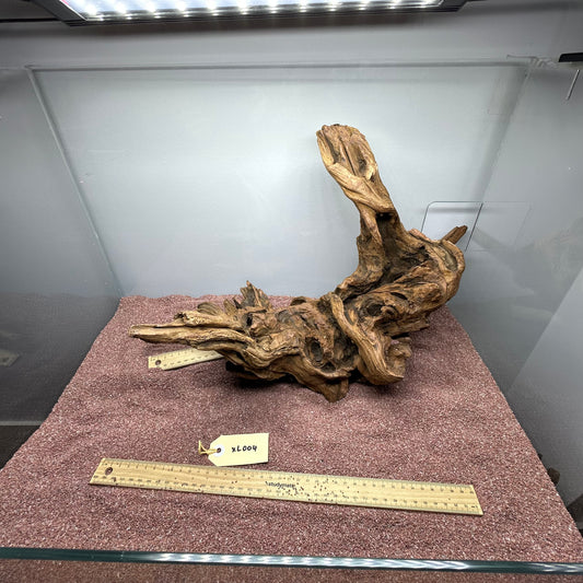 Driftwood (X Large)