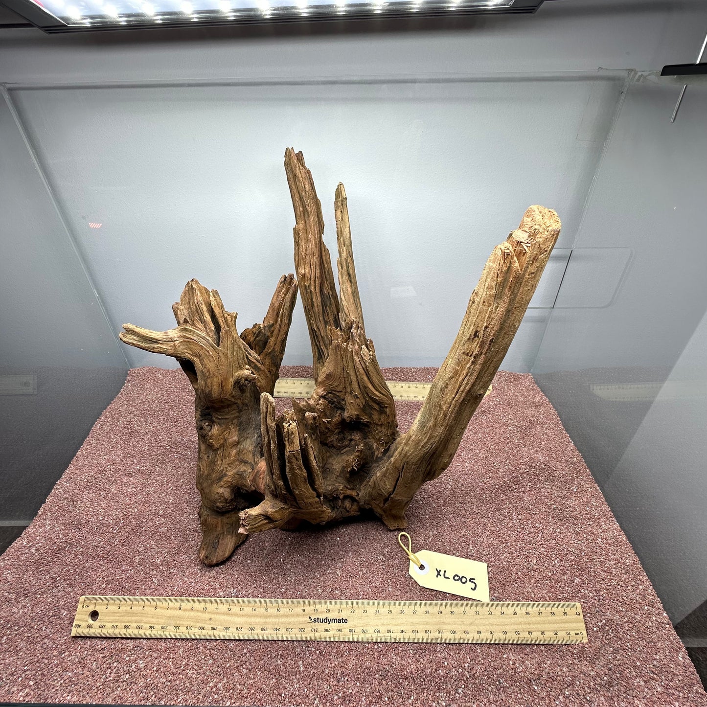 Driftwood (X Large)