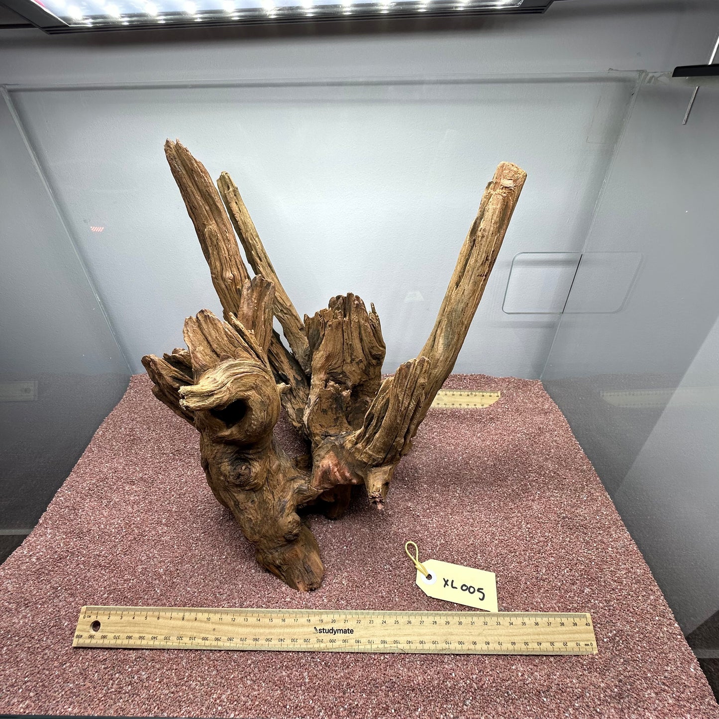 Driftwood (X Large)