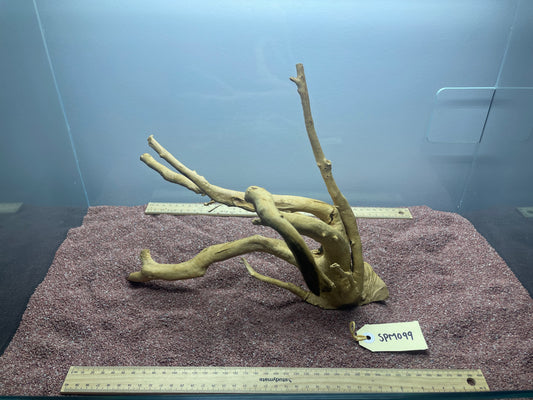 Spiderwood (Medium)
