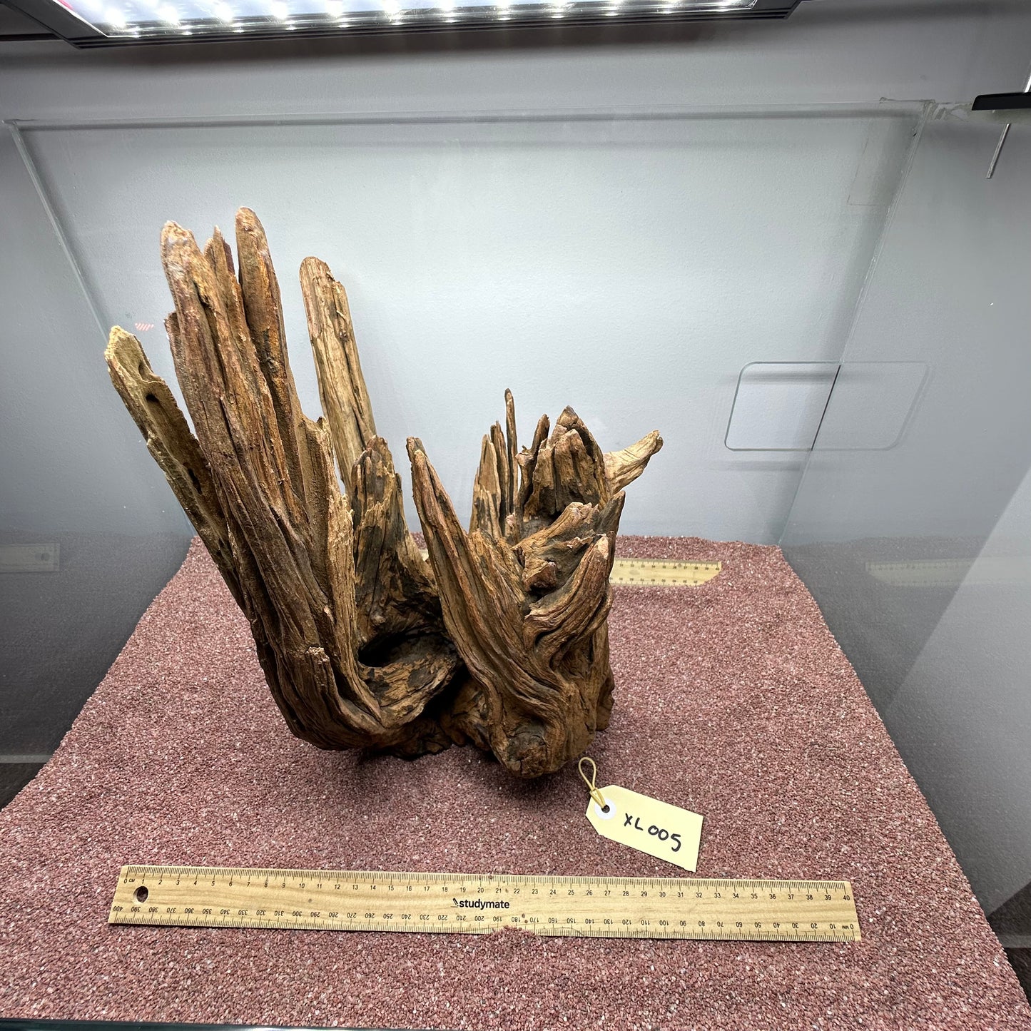 Driftwood (X Large)