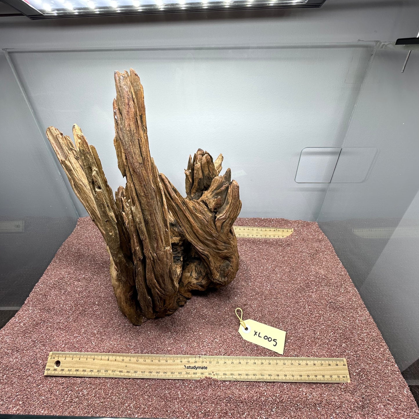 Driftwood (X Large)