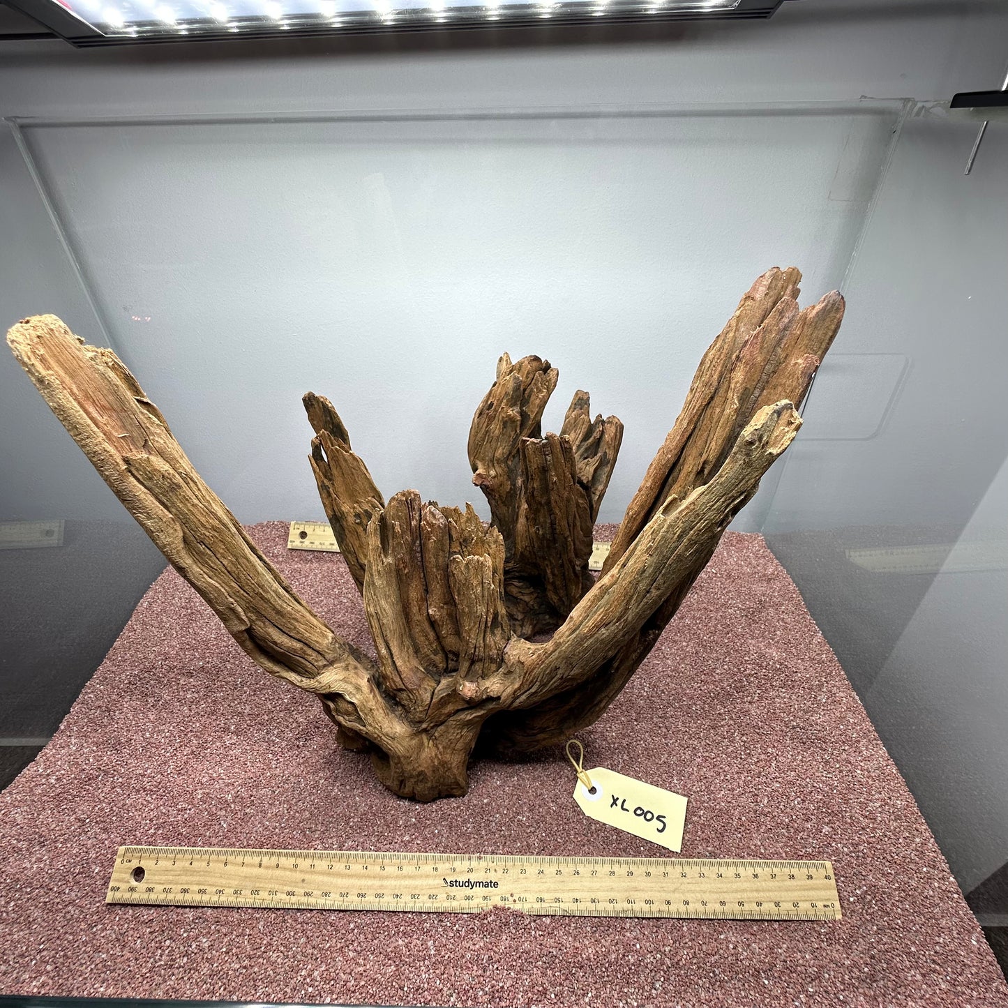 Driftwood (X Large)