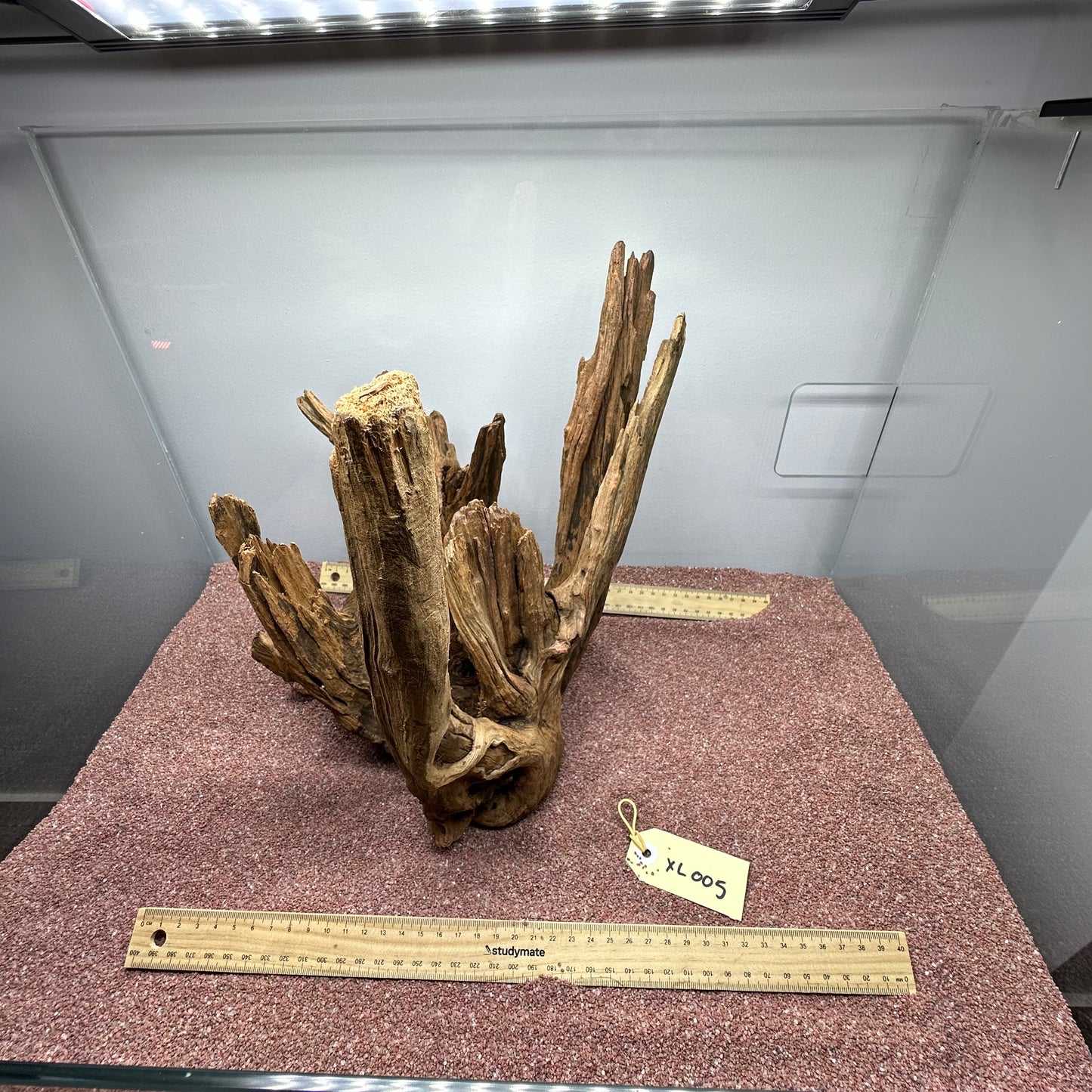 Driftwood (X Large)