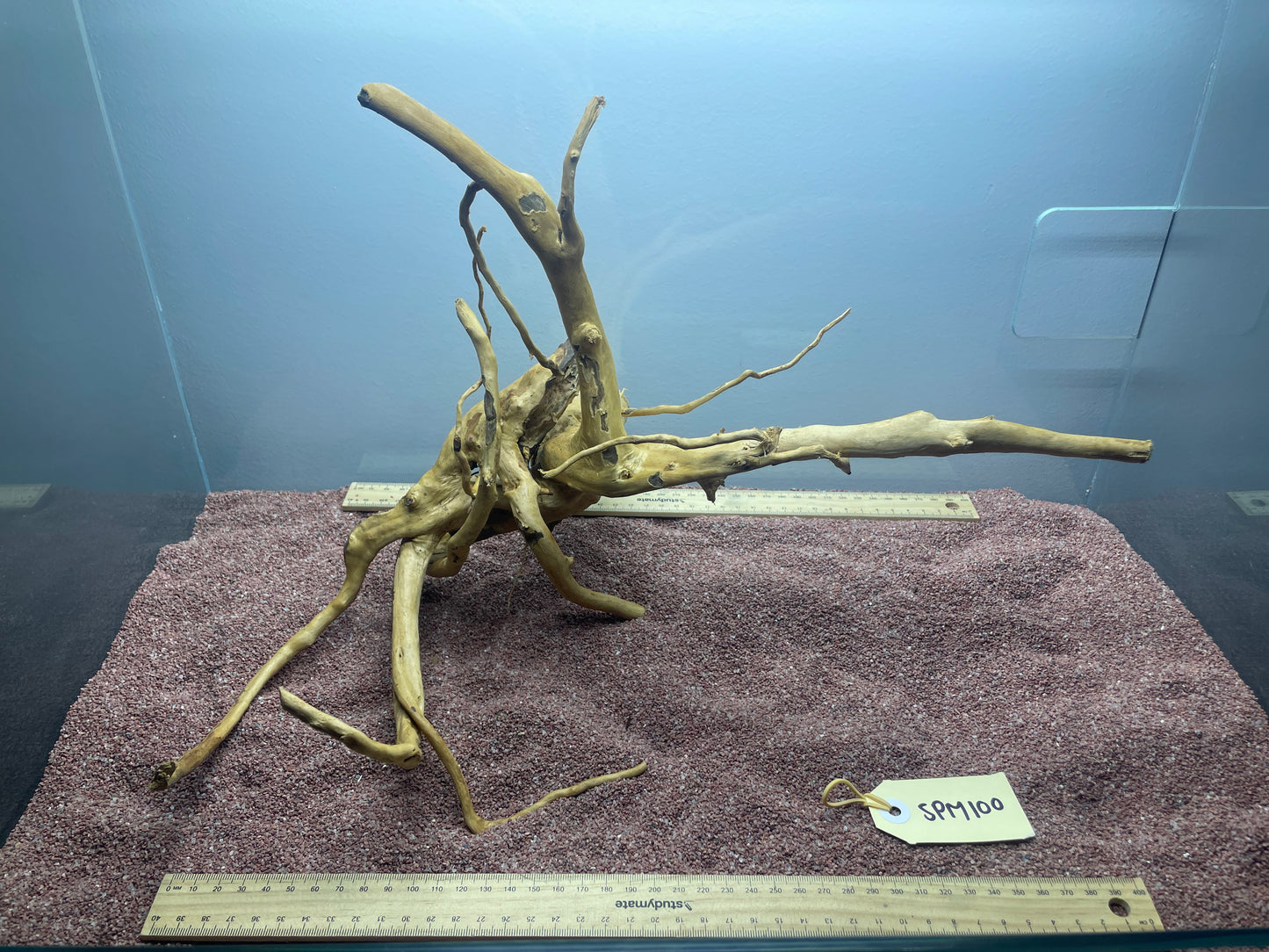 Spiderwood (Medium)