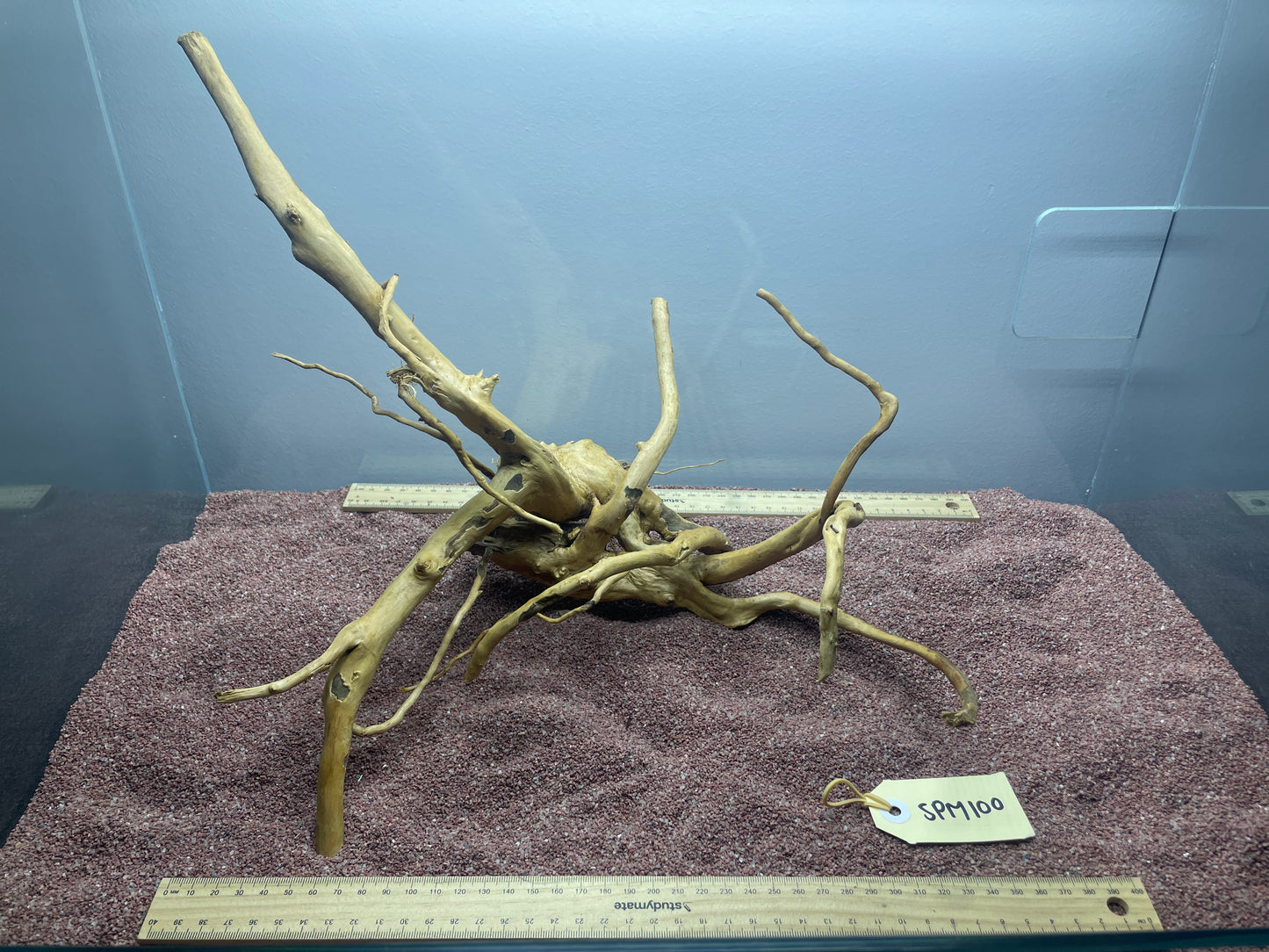 Spiderwood (Medium)