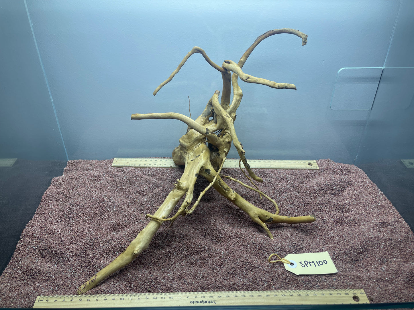 Spiderwood (Medium)