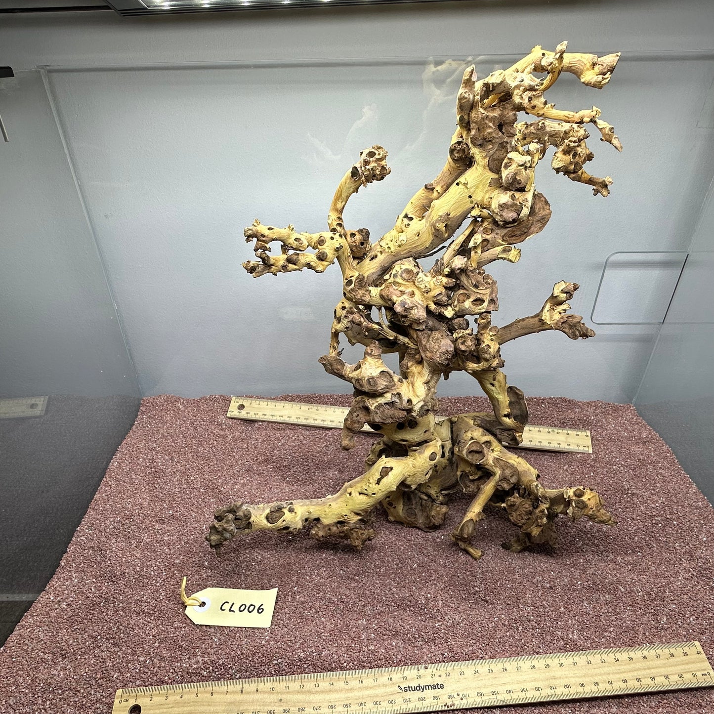 Coral Wood (Large)