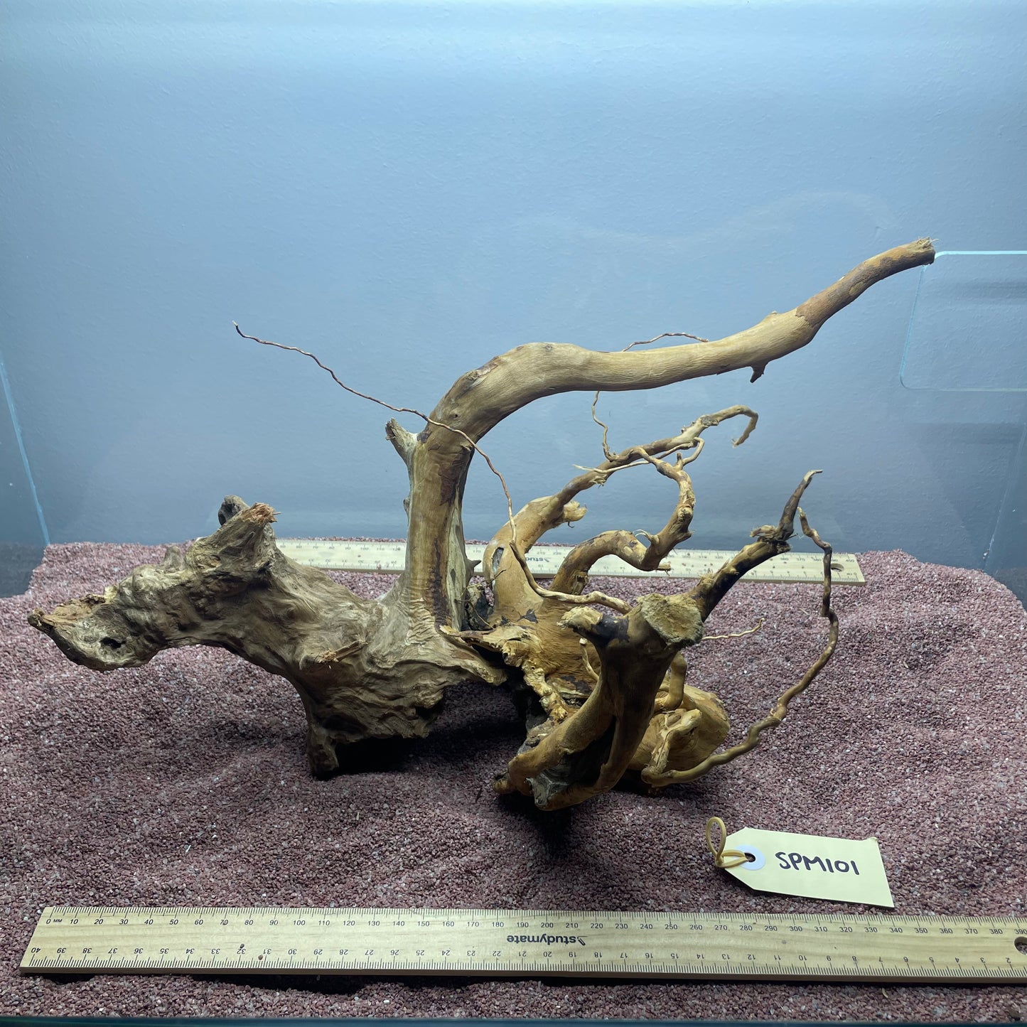 Spiderwood (Medium)