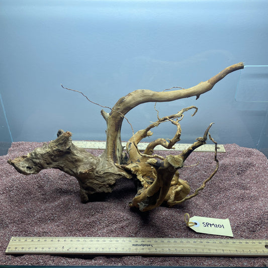 Spiderwood (Medium)