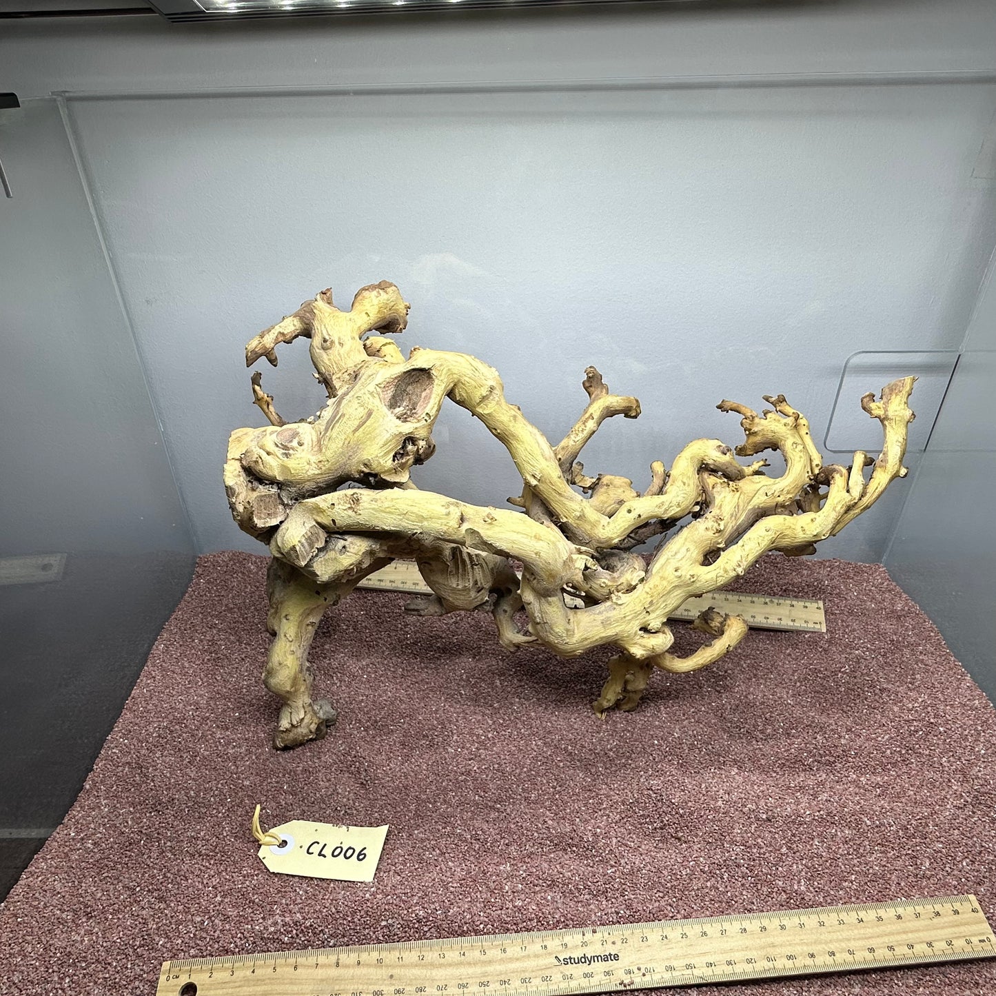 Coral Wood (Large)