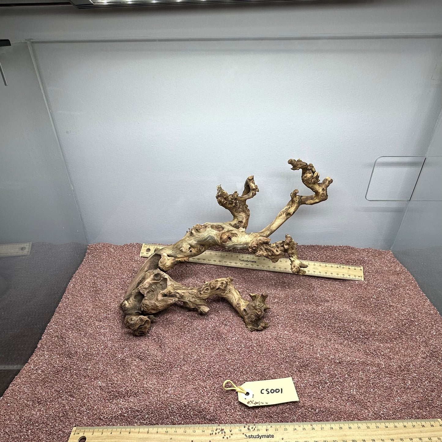 Coral Wood (Small)
