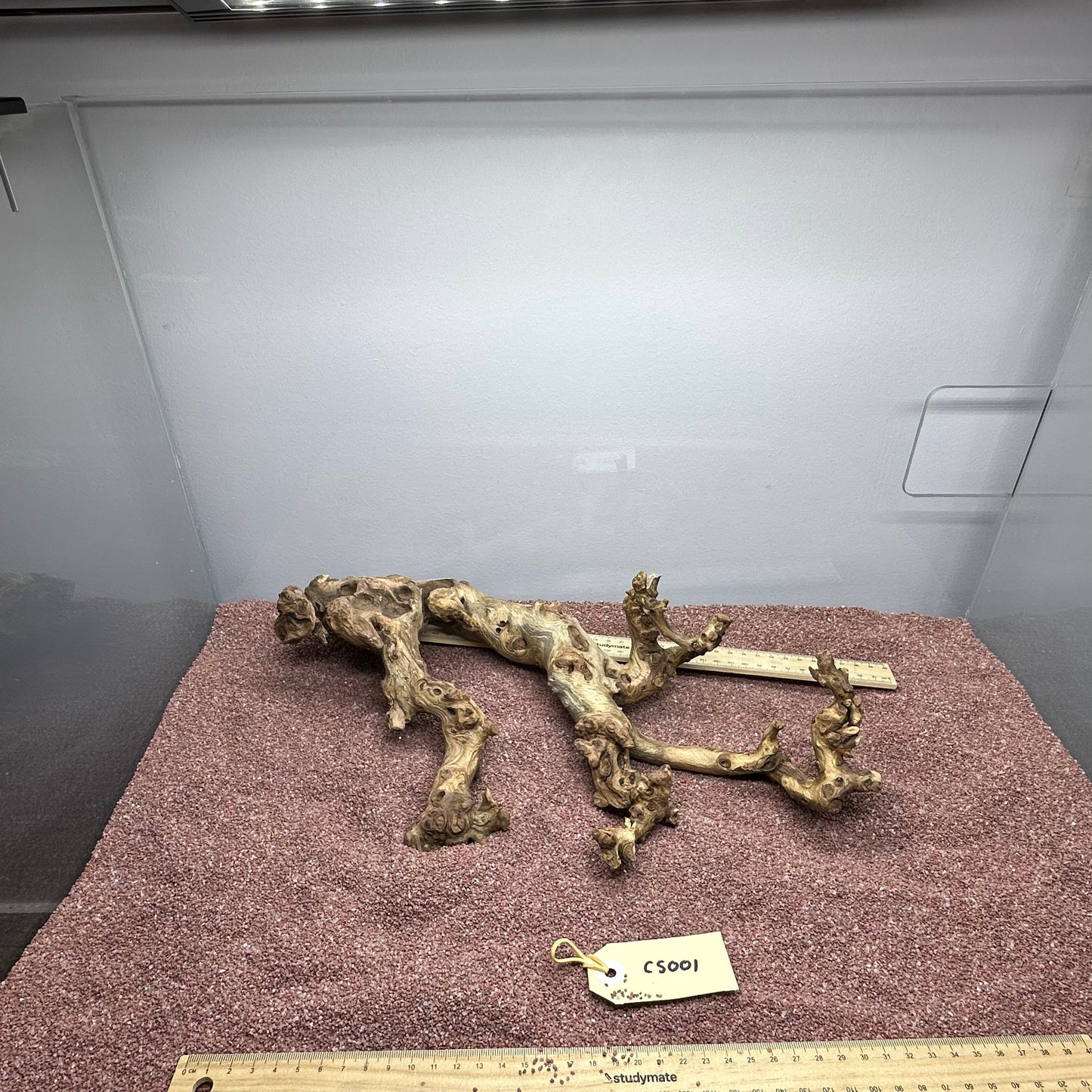 Coral Wood (Small)