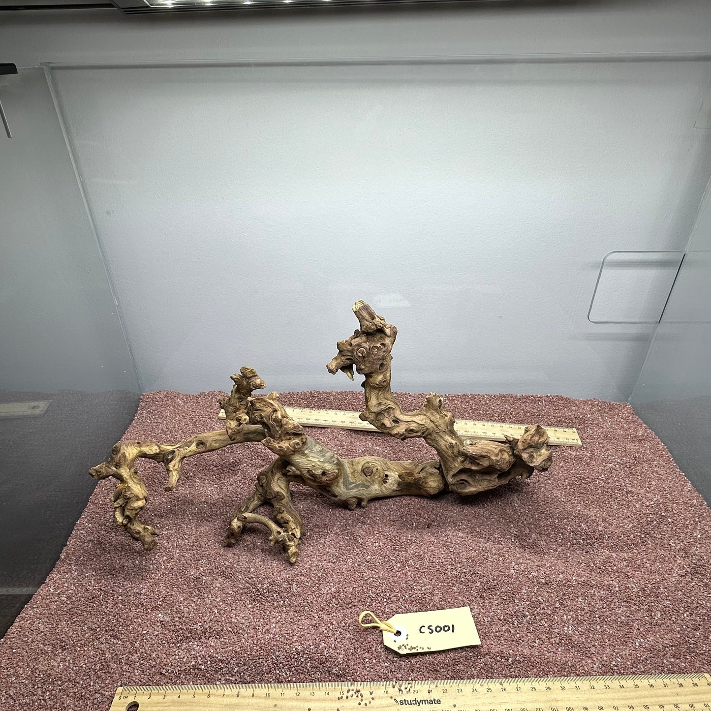 Coral Wood (Small)