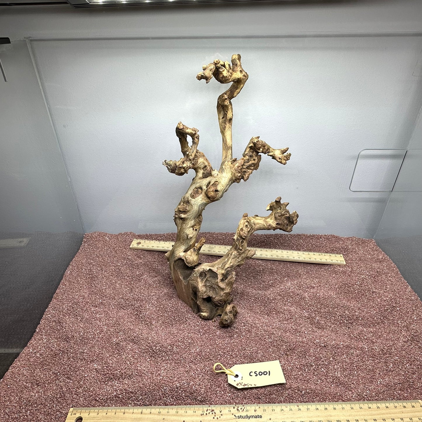 Coral Wood (Small)