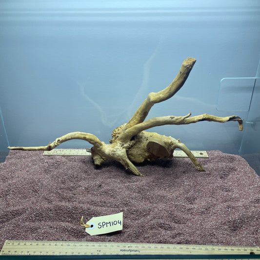 Spiderwood (Medium)