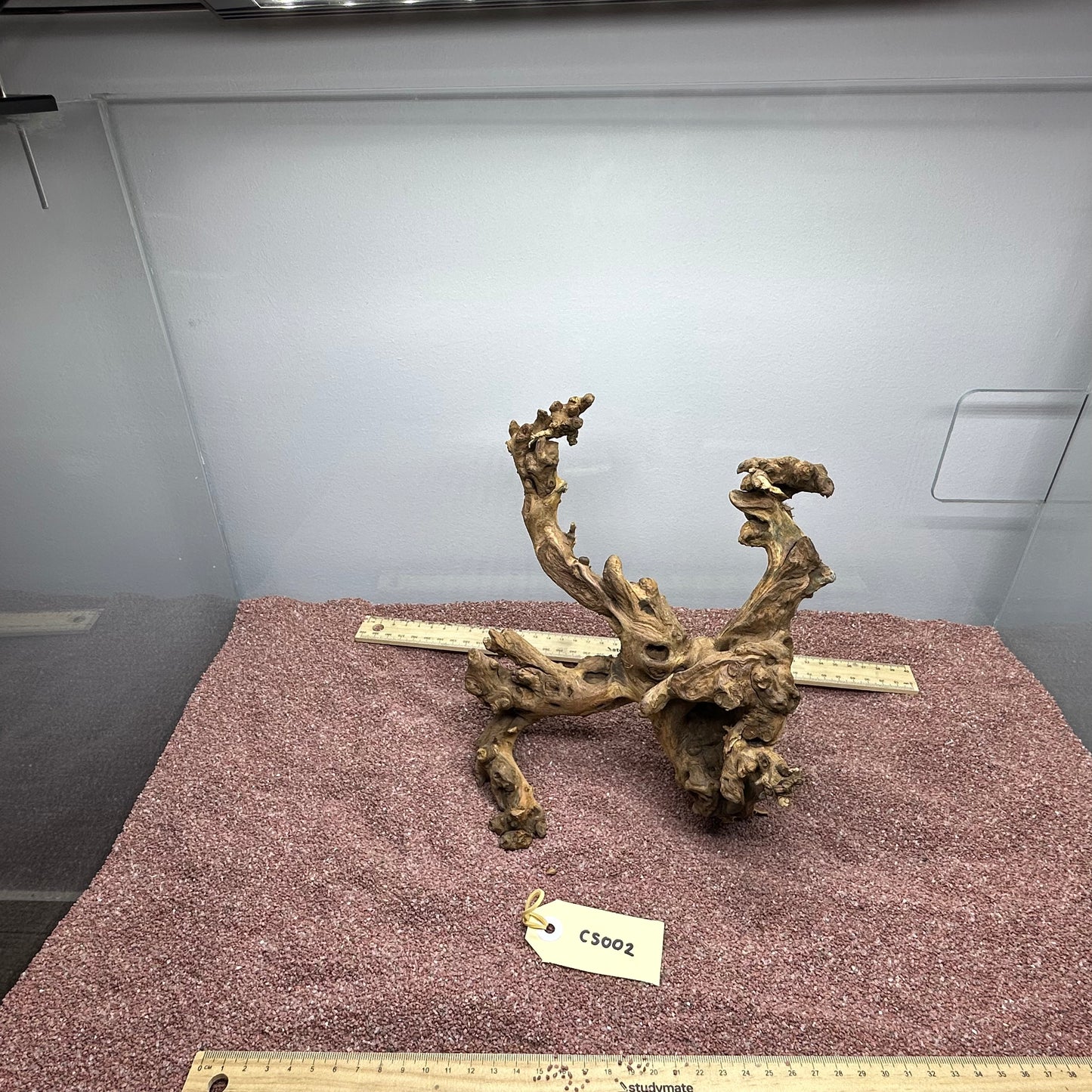 Coral Wood (Small)