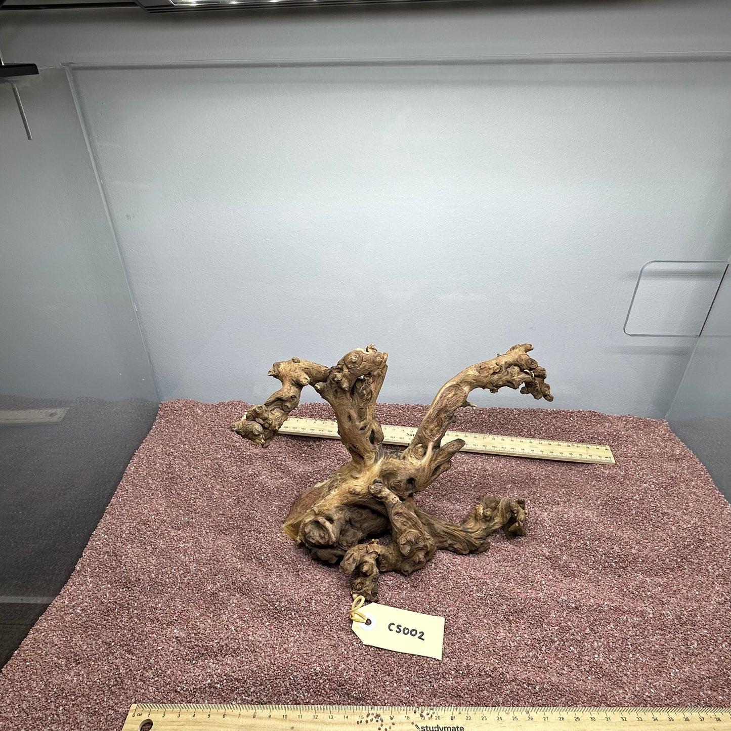 Coral Wood (Small)