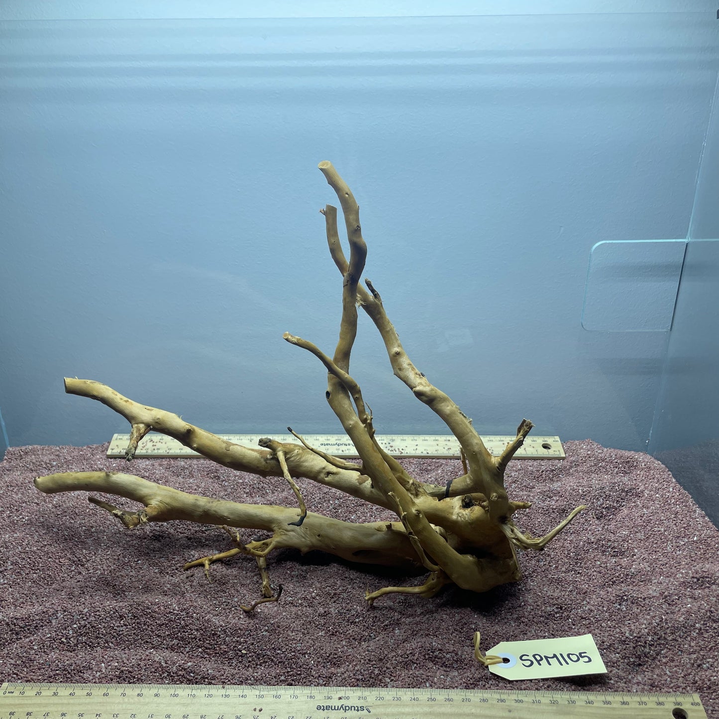Spiderwood (Medium)