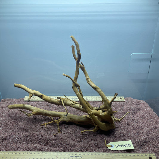 Spiderwood (Medium)