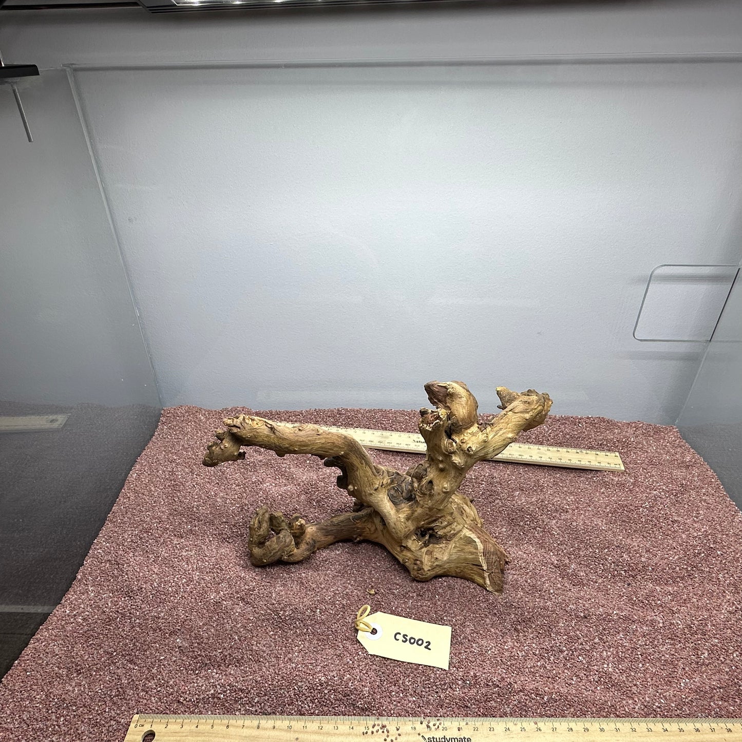 Coral Wood (Small)