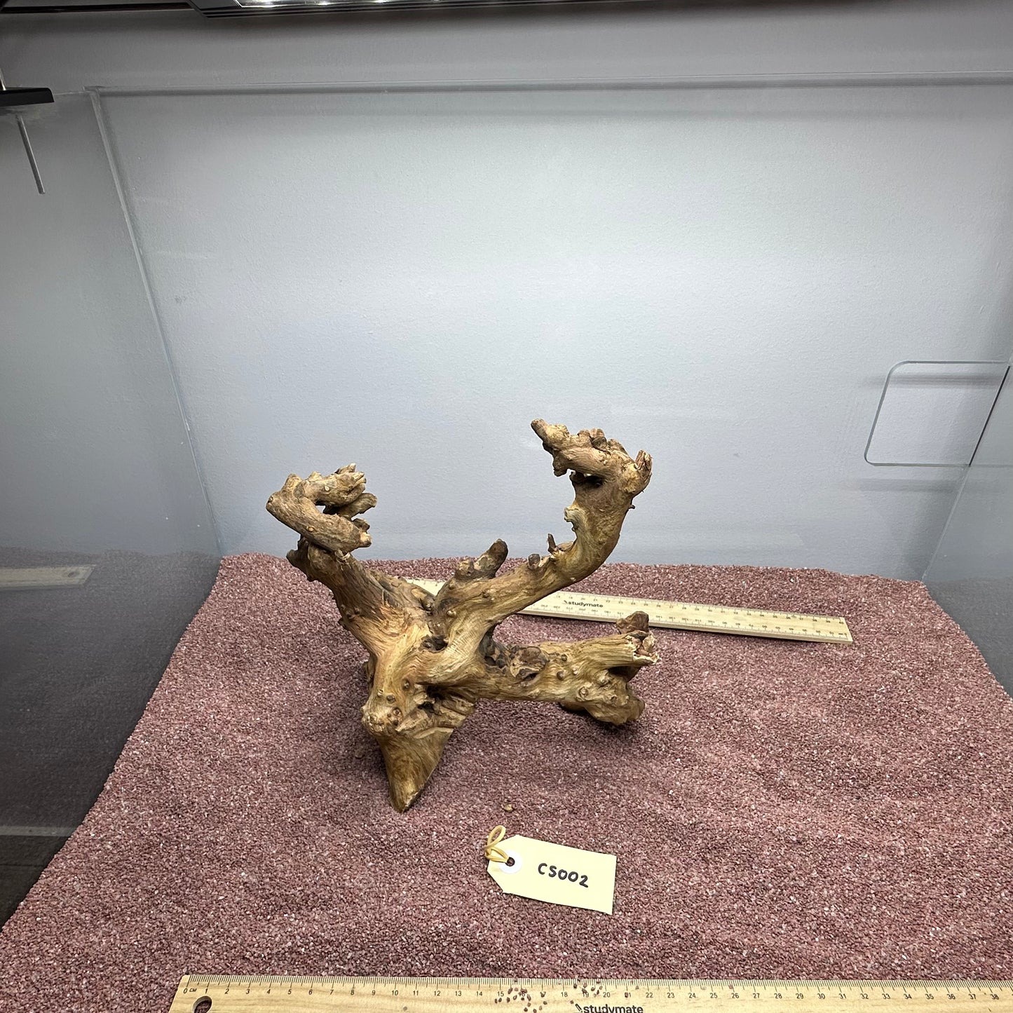 Coral Wood (Small)