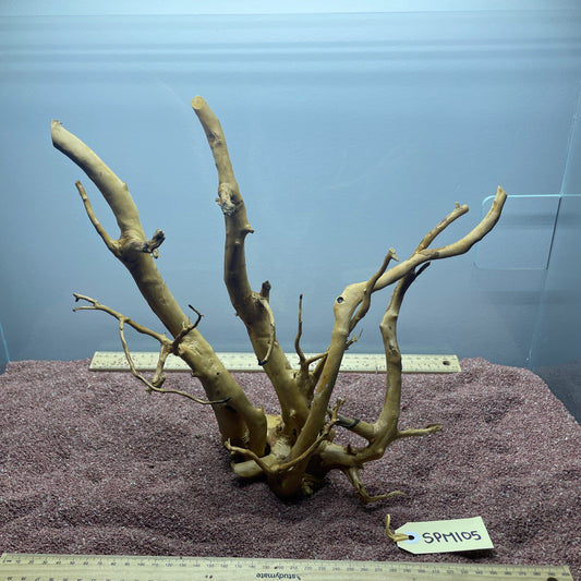 Spiderwood (Medium)
