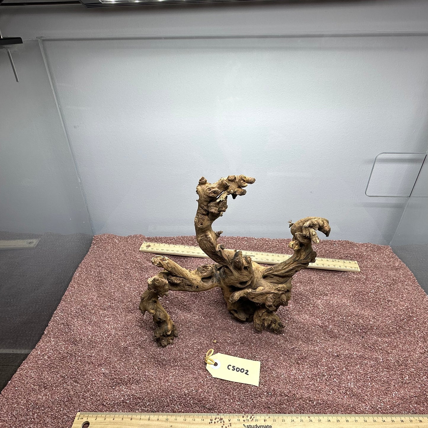 Coral Wood (Small)