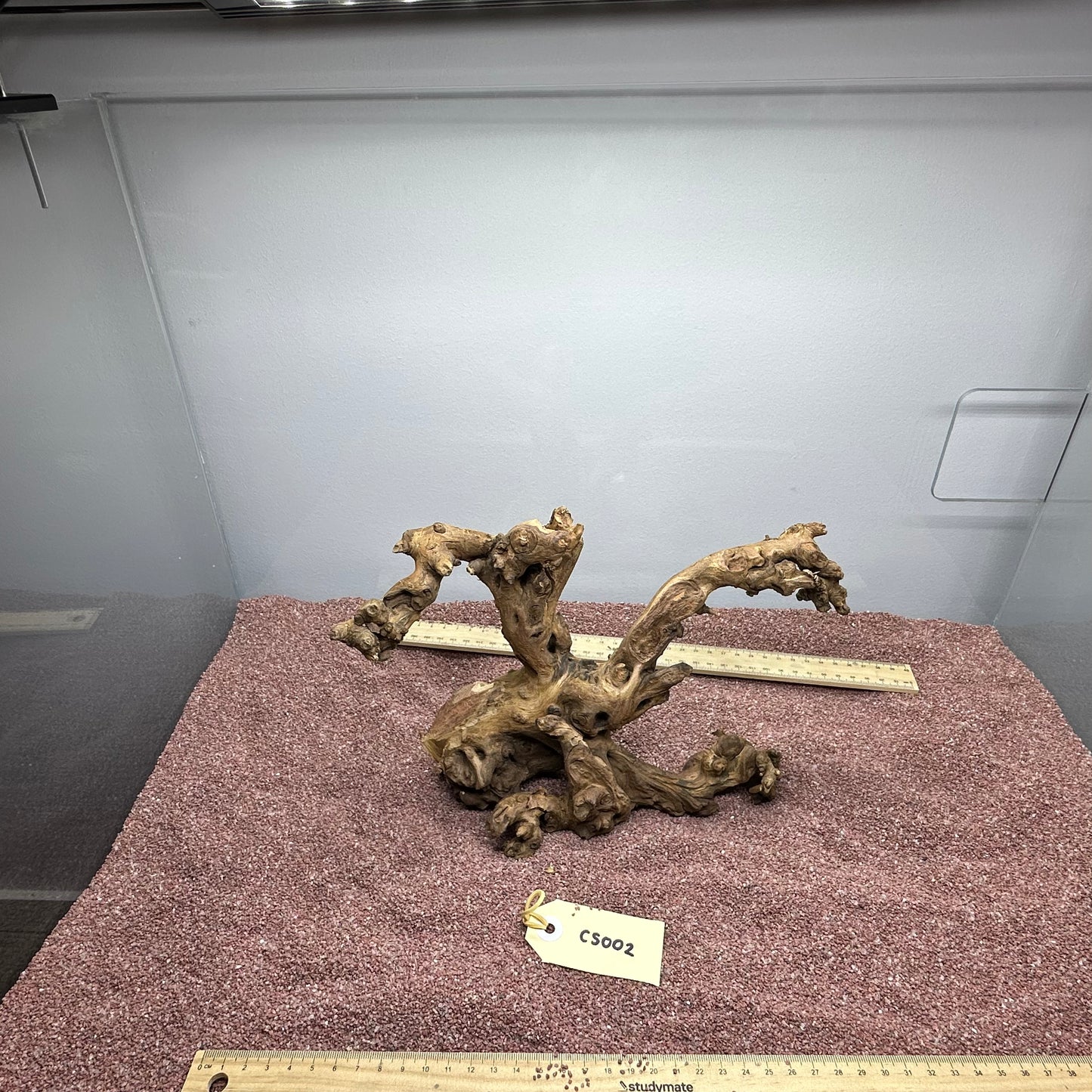 Coral Wood (Small)