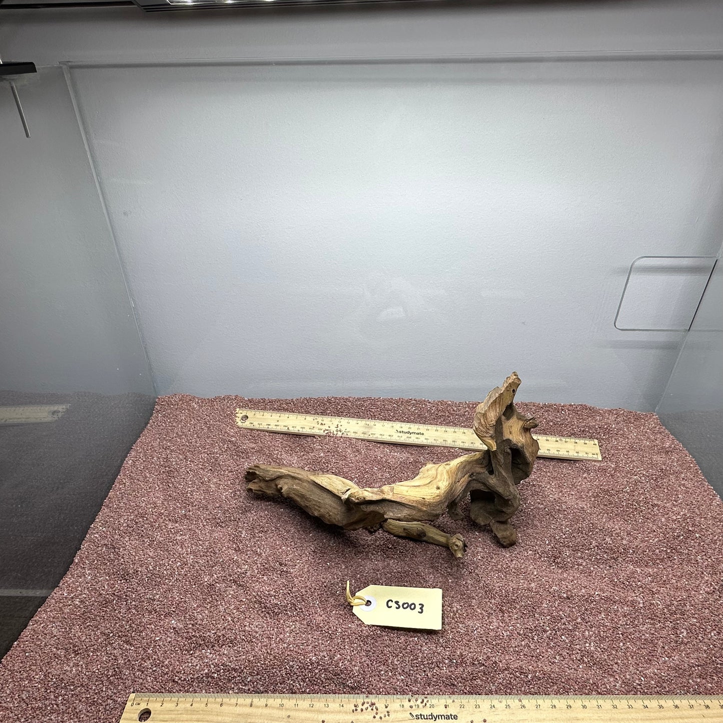 Coral Wood (Small)
